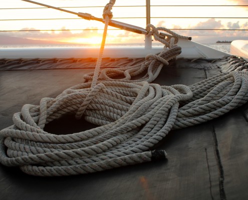 sailor-knots